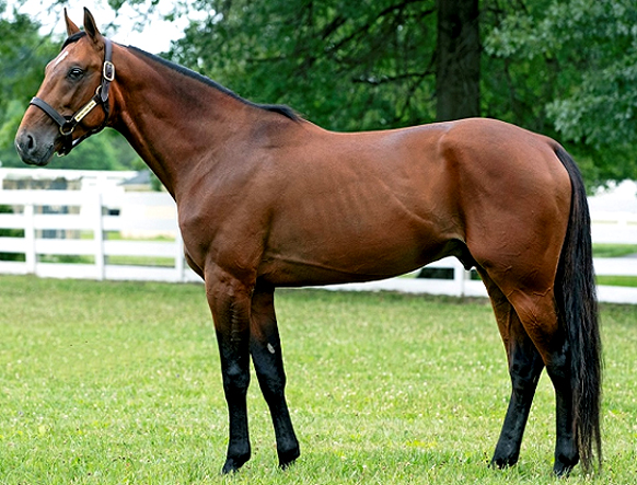 Foto International Moni