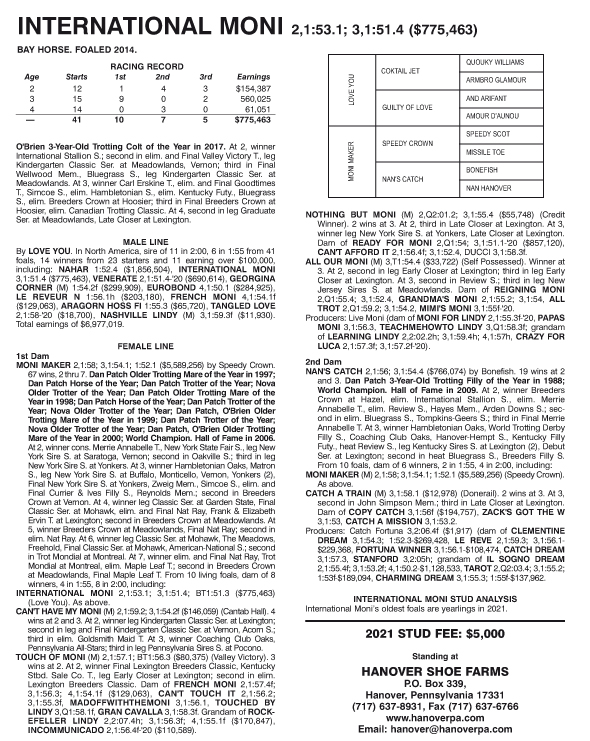 Pedigree International Moni 